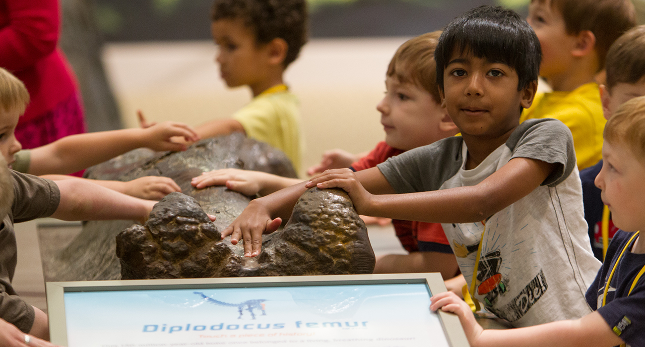 campers touching a dinosaur bone
