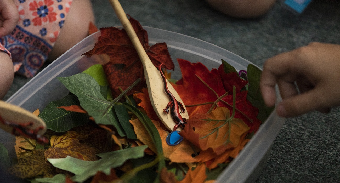 Backyard Biology - 2021 Summer Camps