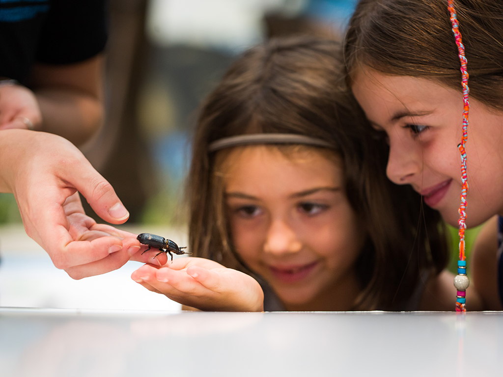 Two girls look at an insect