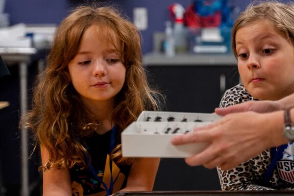 kids looking at pinned insects