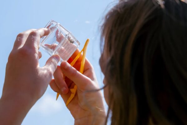 person looking through a glass