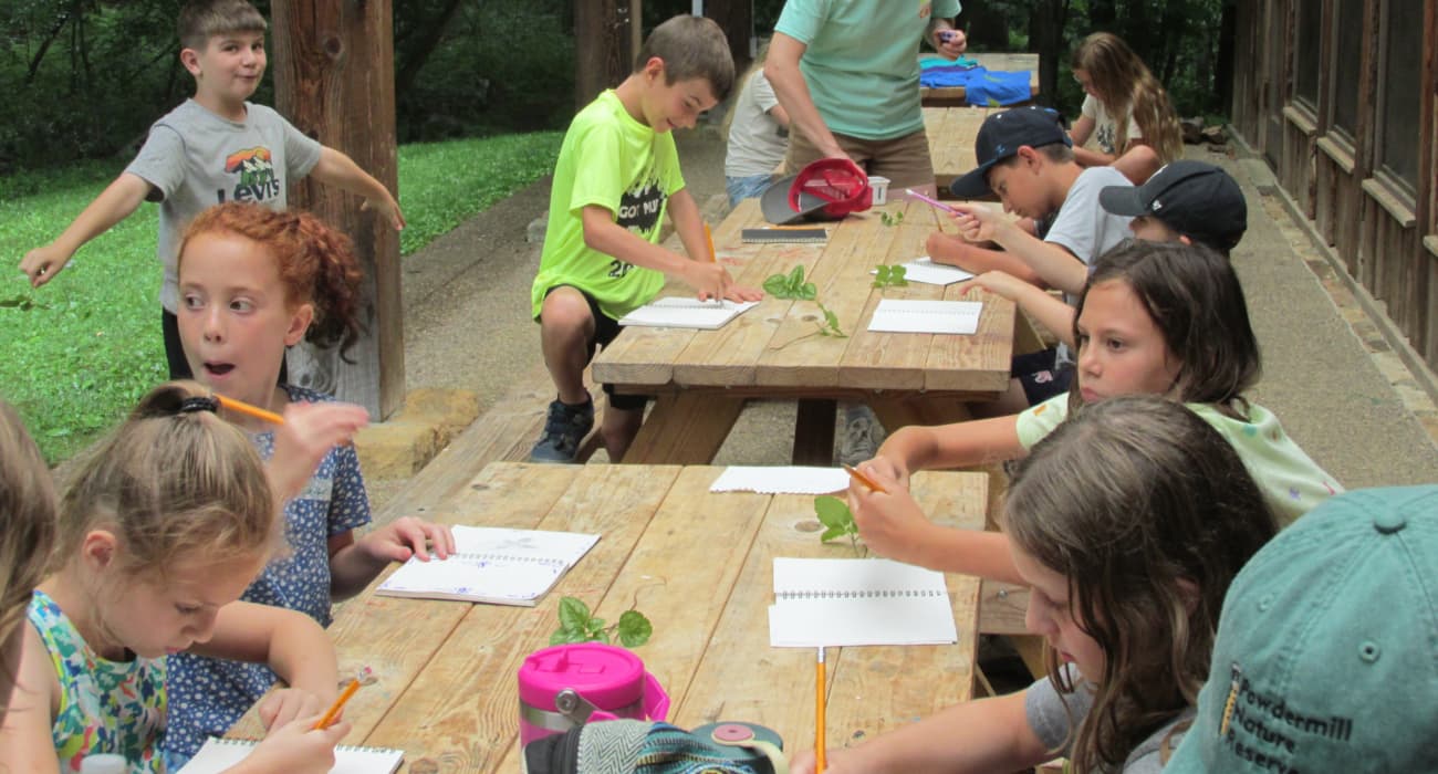 children working on leaves on a table
