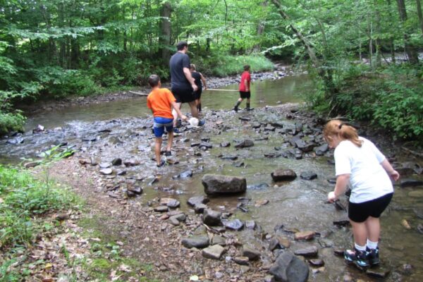 kids near a stream