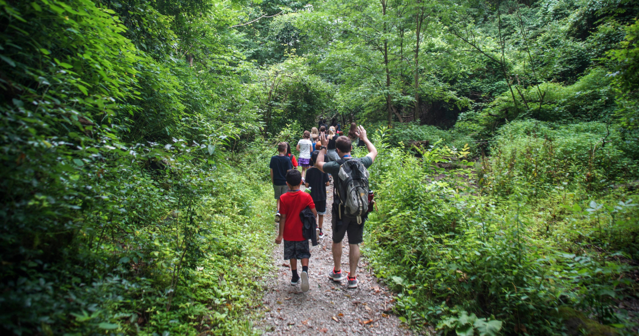 children walking through woods