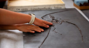 Paleontology: Field to Lab