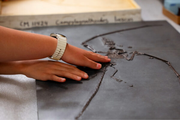 child feeling a fossil